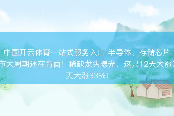中国开云体育一站式服务入口 半导体、存储芯片的牛市大周期还在背面！稀缺龙头曝光，这只12天大涨33%！