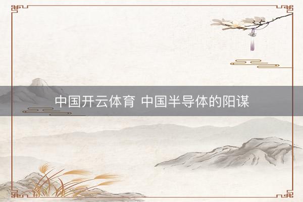 中国开云体育 中国半导体的阳谋