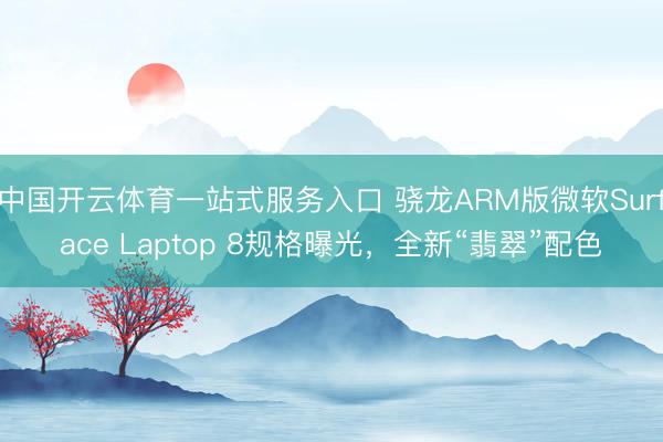 中国开云体育一站式服务入口 骁龙ARM版微软Surface Laptop 8规格曝光，全新“翡翠”配色