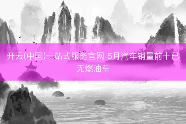 开云(中国)一站式服务官网 5月汽车销量前十已无燃油车
