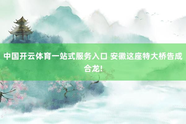 中国开云体育一站式服务入口 安徽这座特大桥告成合龙!